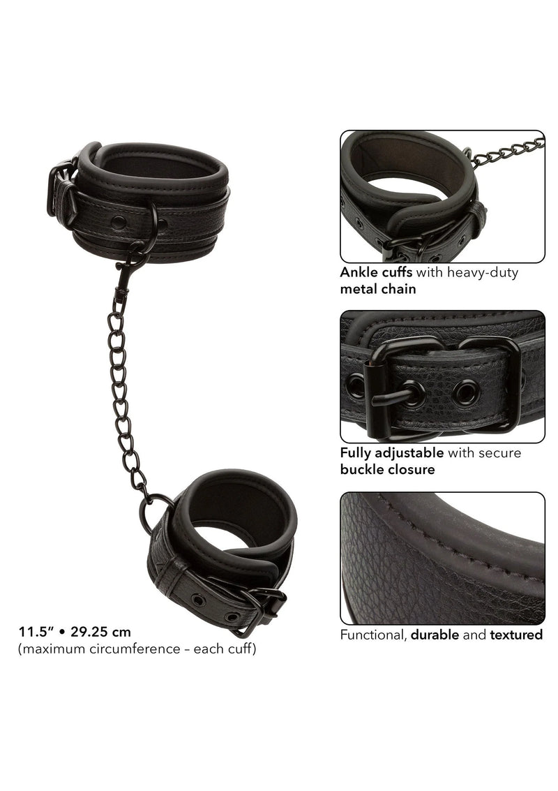CalExotics Nocturnal Collection Ankle Cuffs