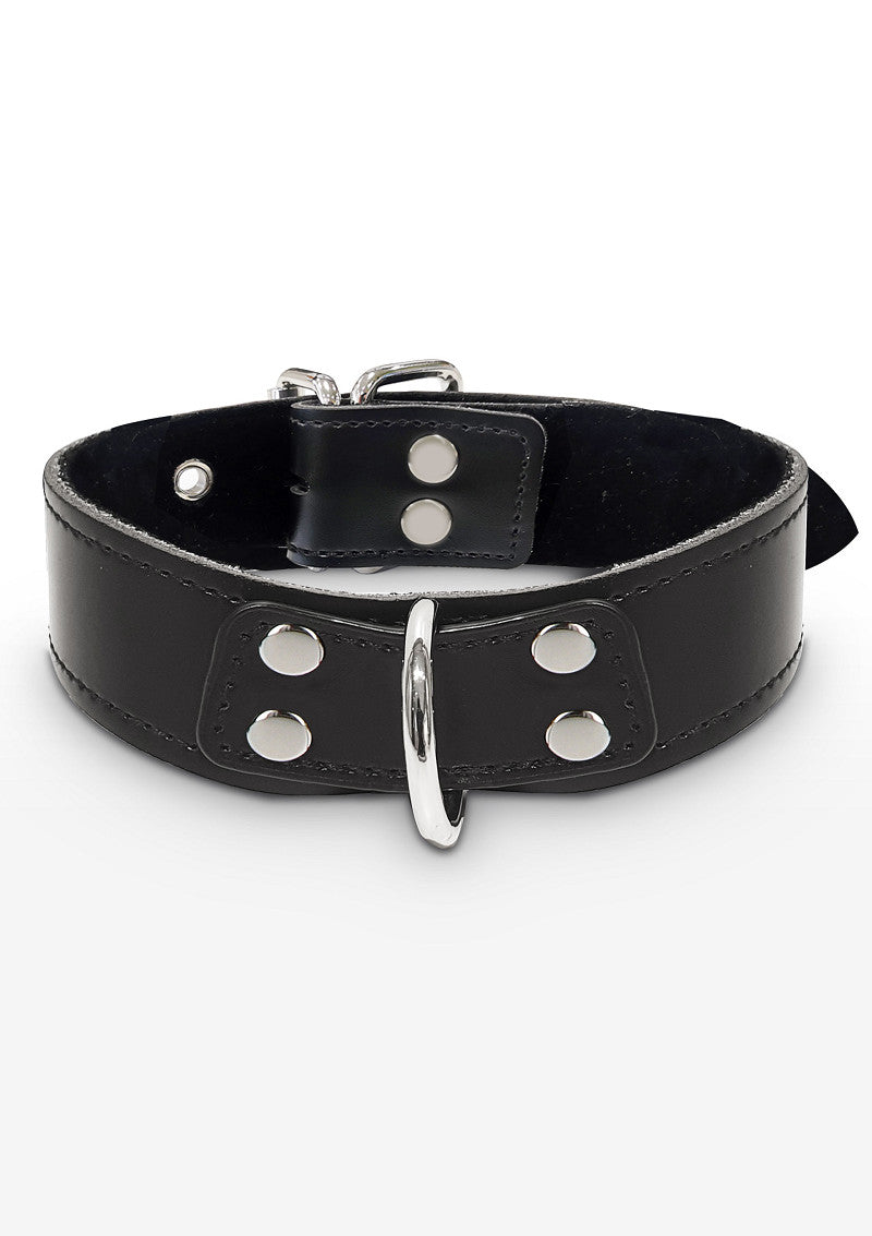 Taboom Elegant D-Ring Collar