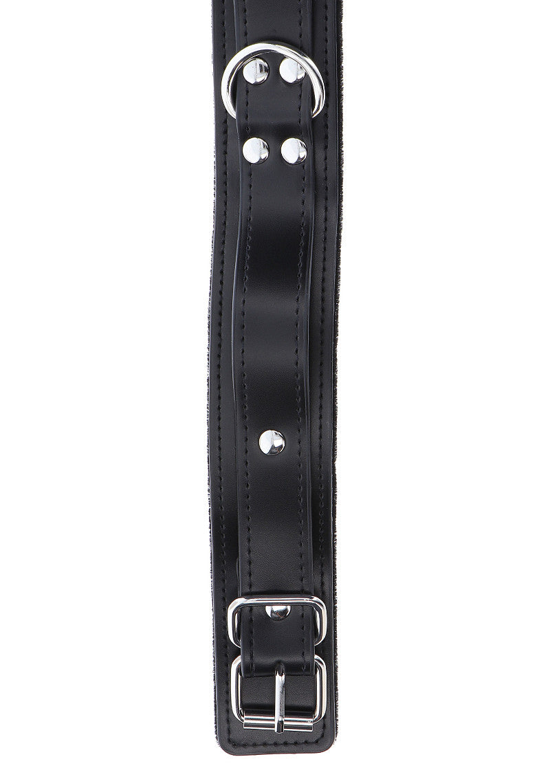 Taboom Heavy D-Ring Collar