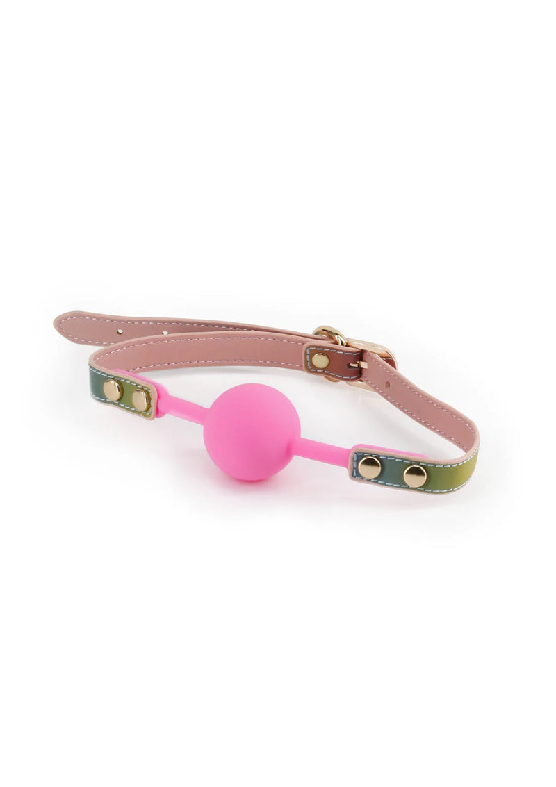NS Novelties Ballgag